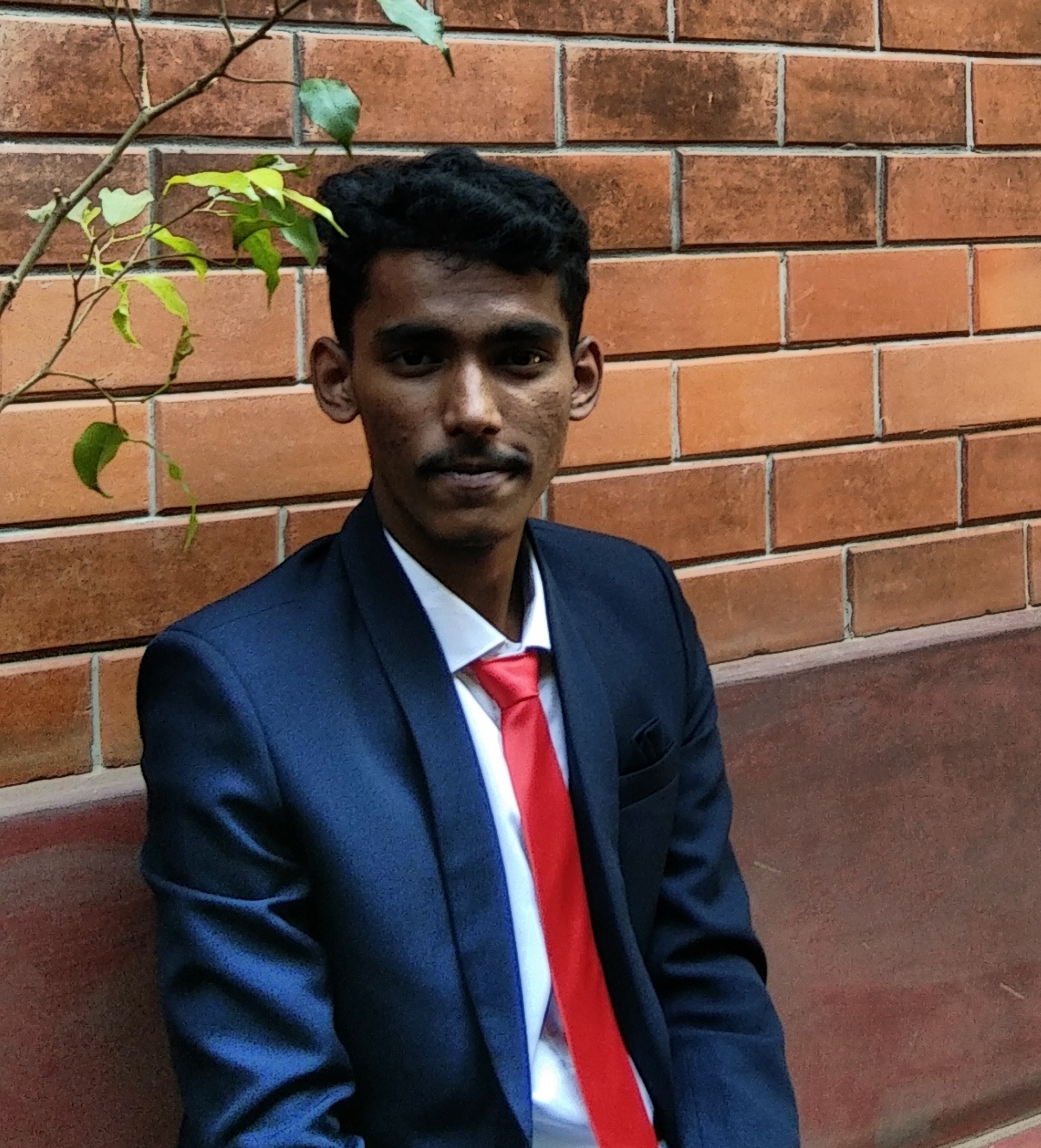 Krishna H Pallan